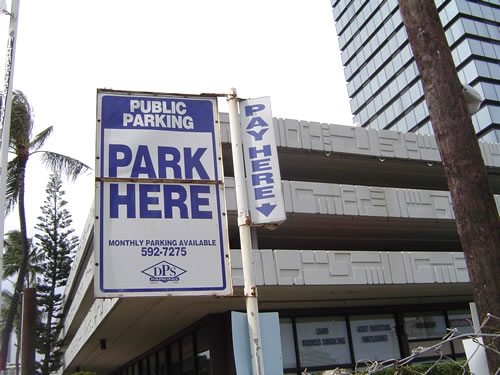 019. �n���C�̎ʐ^