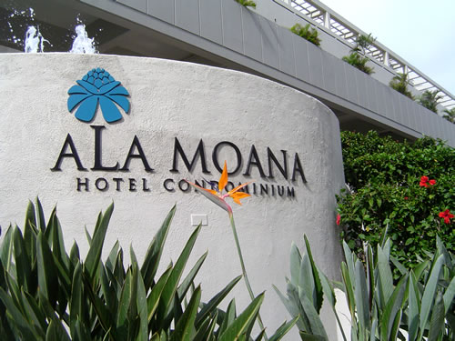 028. �n���C�̎ʐ^