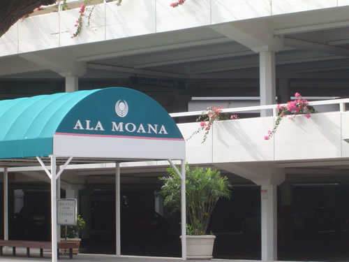 029. �n���C�̎ʐ^