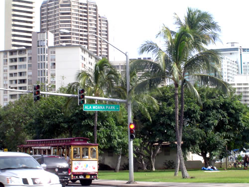 030. �n���C�̎ʐ^