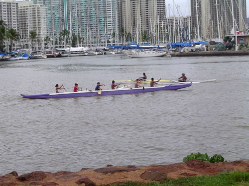 035. �n���C�̎ʐ^