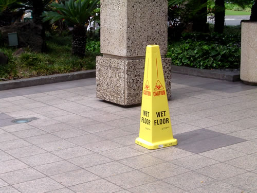 037. �n���C�̎ʐ^