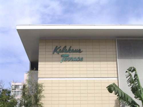 040. �n���C�̎ʐ^