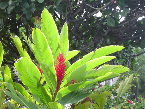 006. �n���C�̎ʐ^