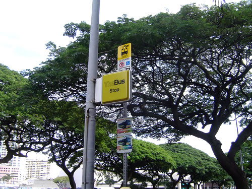 010. �n���C�̎ʐ^