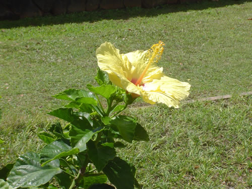 002. �n���C�̎ʐ^