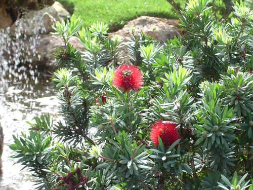 004. �n���C�̎ʐ^