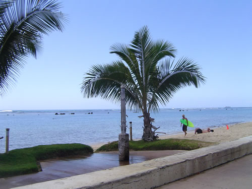 002. �n���C�̎ʐ^