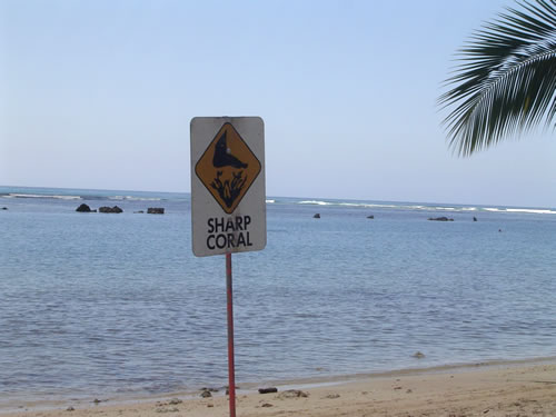 009. �n���C�̎ʐ^