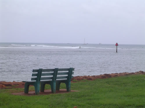 014 �n���C�̎ʐ^