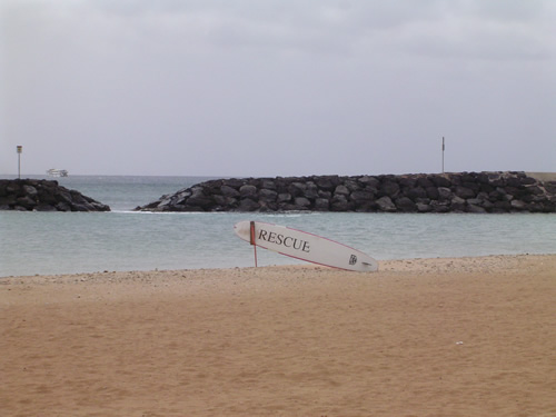 016. �n���C�̎ʐ^