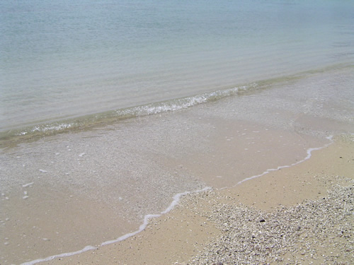 017. �n���C�̎ʐ^