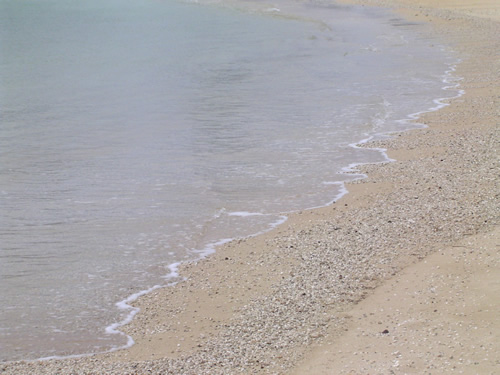 018. �n���C�̎ʐ^