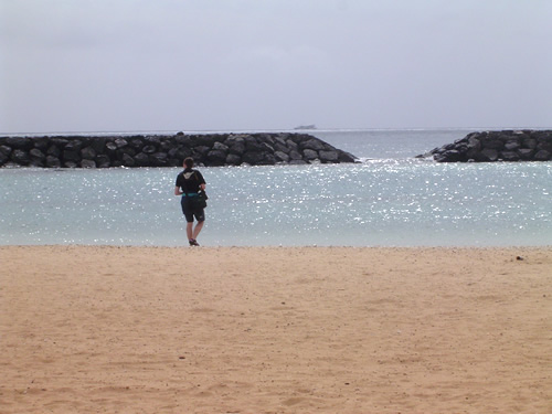 019. �n���C�̎ʐ^