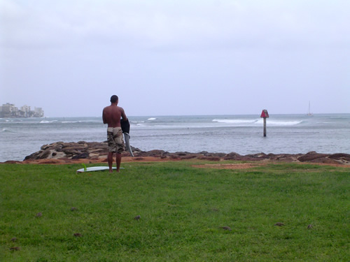 021 �n���C�̎ʐ^