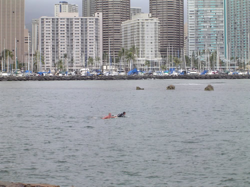 023. �n���C�̎ʐ^