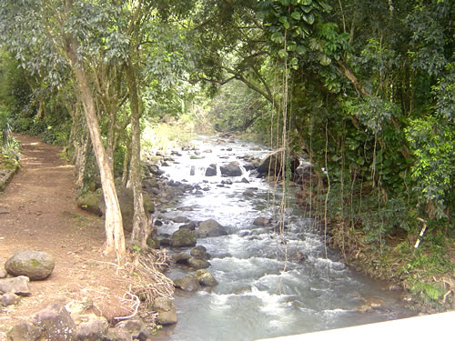 Waimea Valley .010 �n���C�̎ʐ^