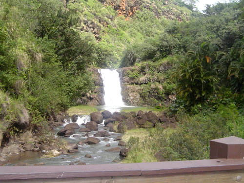 Waimea Valley .011 �n���C�̎ʐ^