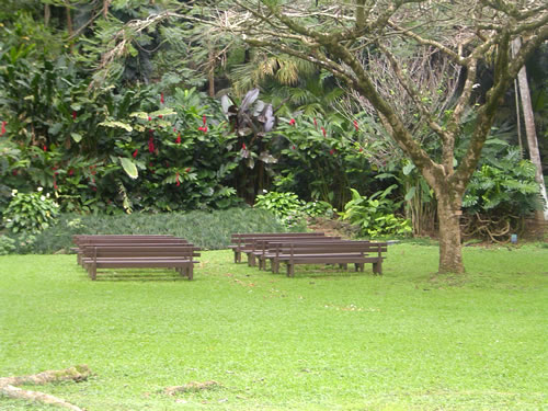 Waimea Valley .005 �n���C�̎ʐ^